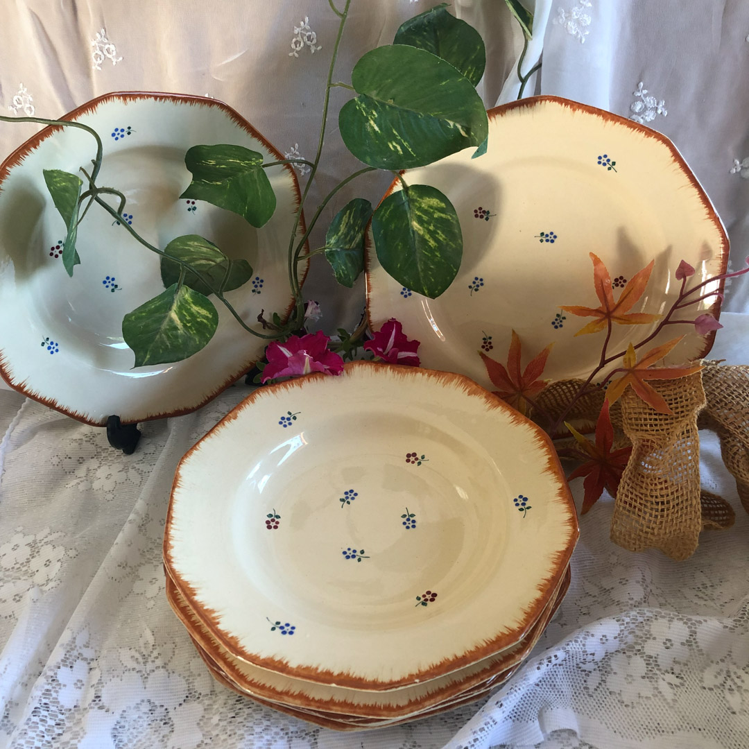 Assiettes l’Amandinoise Saint Amand – 6 plates, 6 creuses