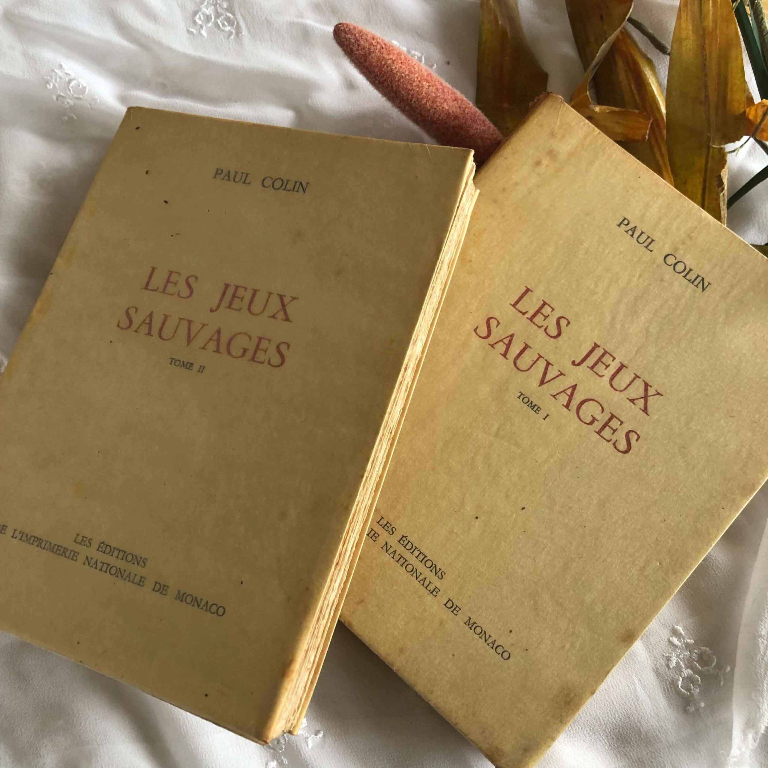 Les jeux sauvages – Paul COLIN