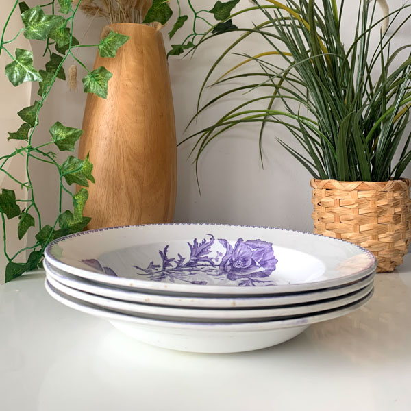 Assiettes creuses U&C Sarreguemines modèle Féria